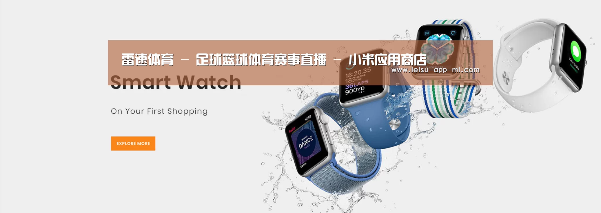 某某网络科技有限公司
