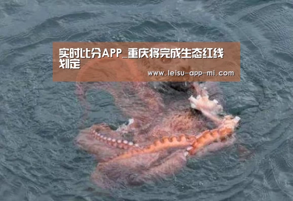 实时比分APP_重庆将完成生态红线划定(图3) 雷速APP下载