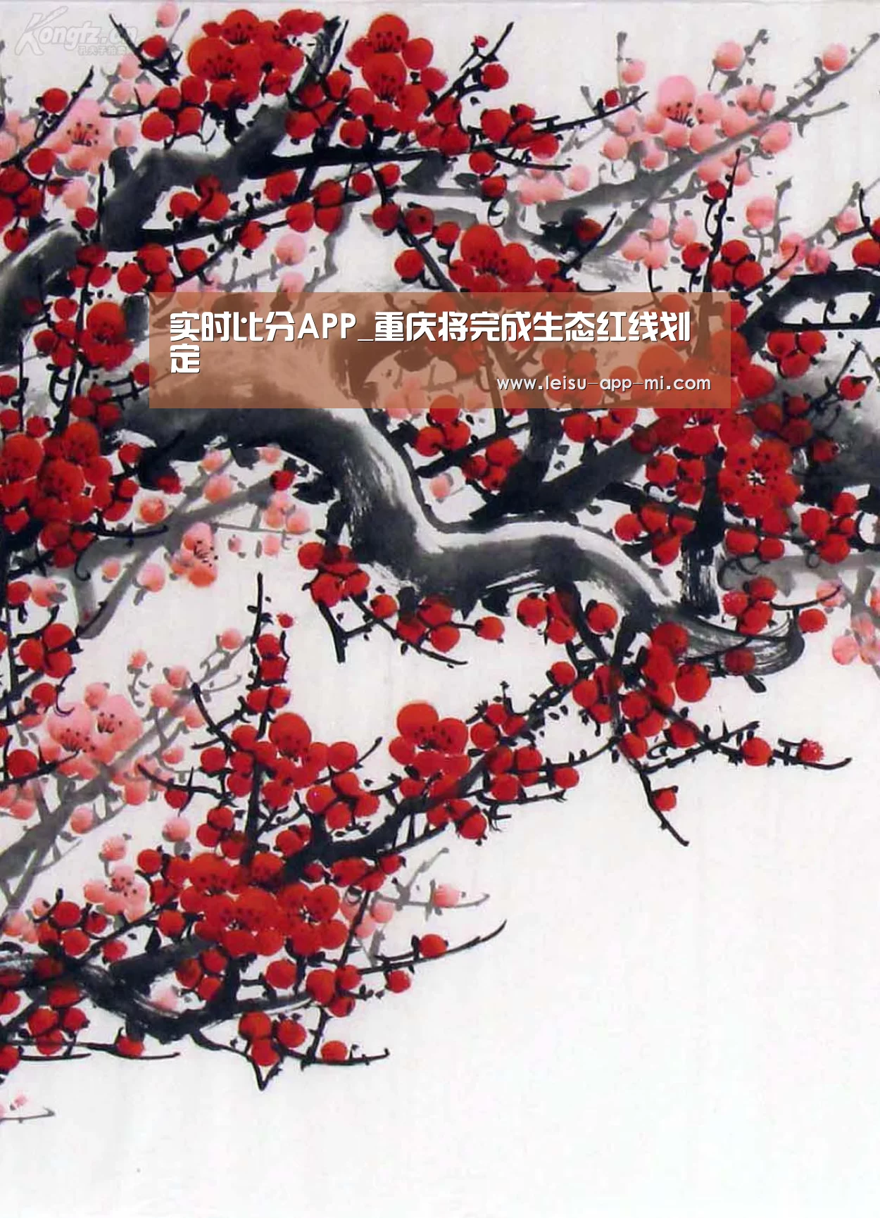 实时比分APP_重庆将完成生态红线划定(图4) 雷速客户端