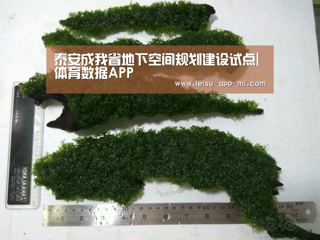 泰安成我省地下空间规划建设试点|体育数据APP(图1) 雷速APP下载
