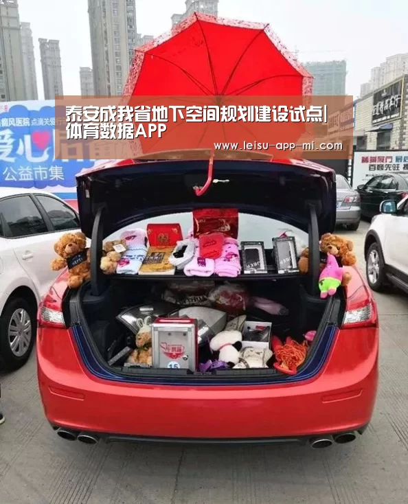 泰安成我省地下空间规划建设试点|体育数据APP(图2) 雷速APP下载
