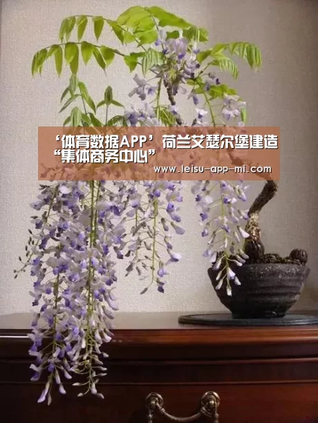 雷速客户端