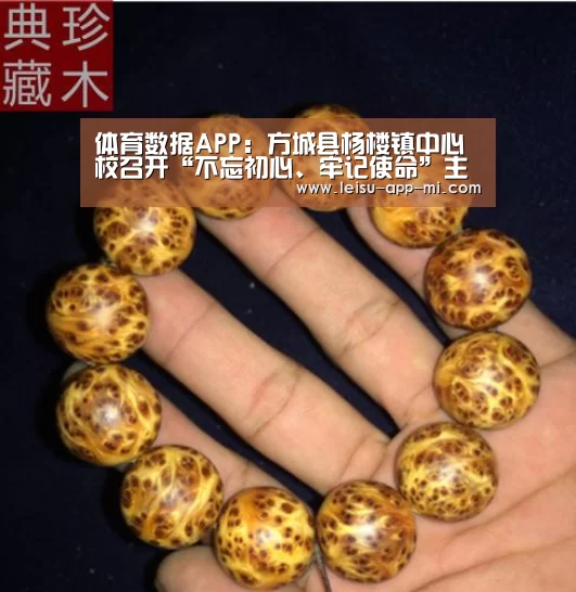 体育数据APP:方城县杨楼镇中心校召开“不忘初心、牢记使命”主题教育动员大会(图1) 实时比分APP